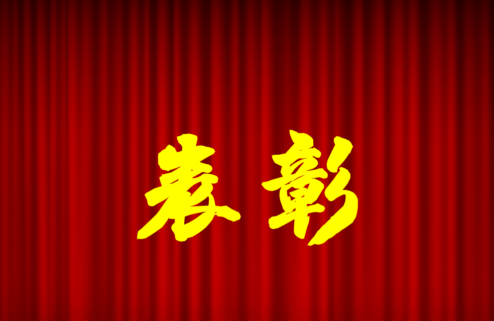 逐光前行、榮耀共鑒 | 公司2024年度表彰來啦！